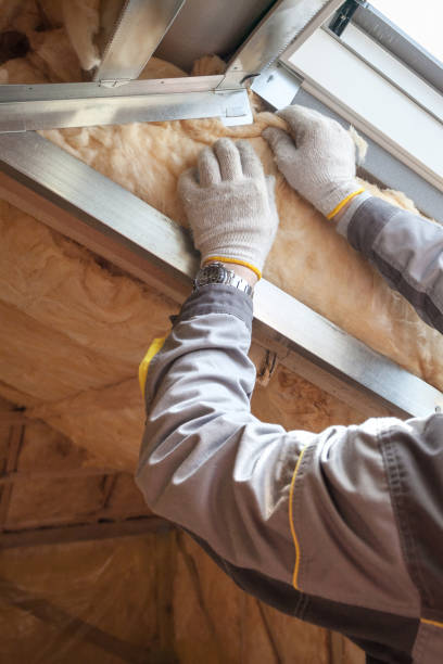 Best Insulation Installation Cost  in Leo Cedarville, IN