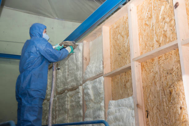 Soundproof Insulation Installation in Leo Cedarville, IN